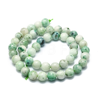 Natural Chrysocolla Beads Strands G-E576-04B-1