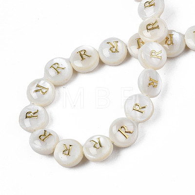 Natural Freshwater Shell Beads SHEL-S276-168R-1