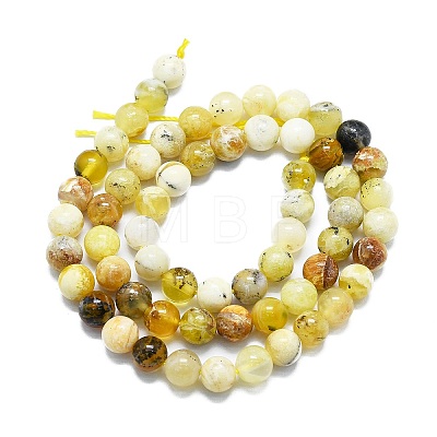 Natural Yellow Opal Beads Strands G-K245-A07-B03-1