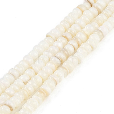 Natural Freshwater Shell  Beads Strands BSHE-H109-07-1