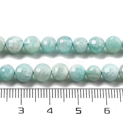 Natural Amazonite Beads Strands G-C179-J01-01-1