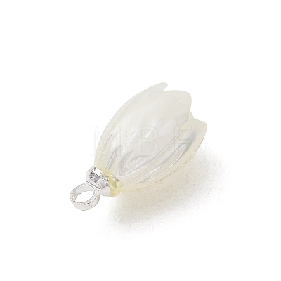 Natural Trochus Shell Pendants PALLOY-JF05371-1