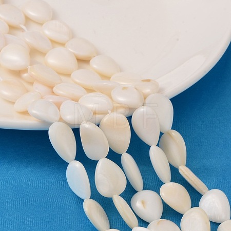 Natural White Shell Beads Strands PBB263Y-1-1