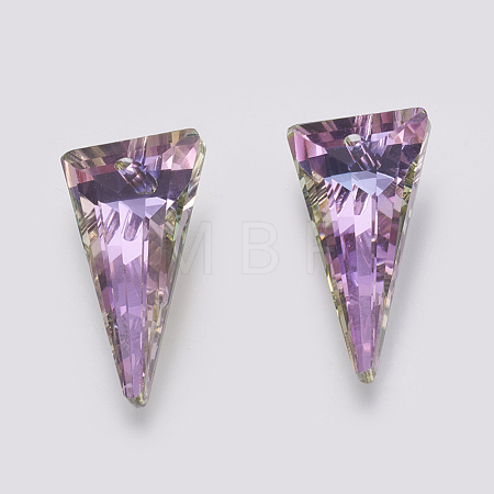 K9 Glass Rhinestone Pendants GLAA-K034-J02-1