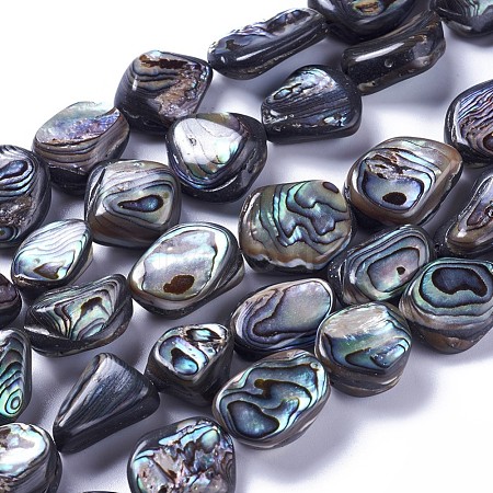 Natural Abalone Shell/Paua Shell Beads Strands SSHEL-F303-08A-1