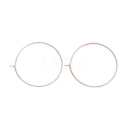 Ion Plating(IP) 316L Surgical Stainless Steel Hoop Earring Findings STAS-D164-06RG-1
