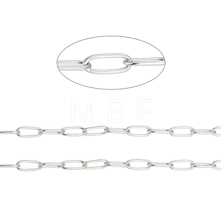 Tarnish Resistant 304 Stainless Steel Paperclip Chains CHS-F010-01H-P-1