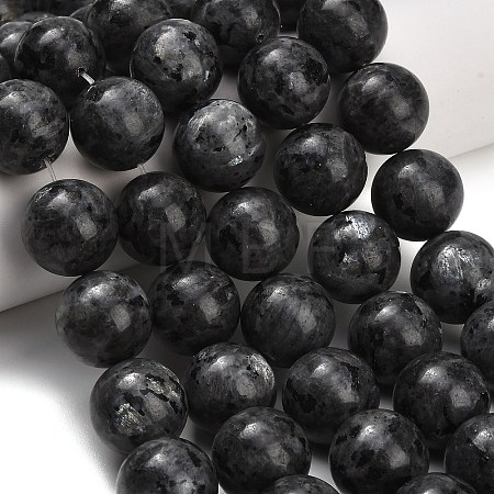Natural Larvikite Beads Strands GSR20mmC128-1