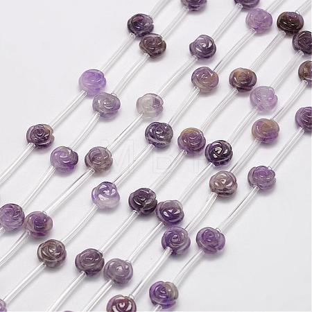 Natural Amethyst Beads G-O156-D-14-1