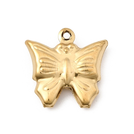 304 Stainless Steel Pendants STAS-G389-02G-08-1