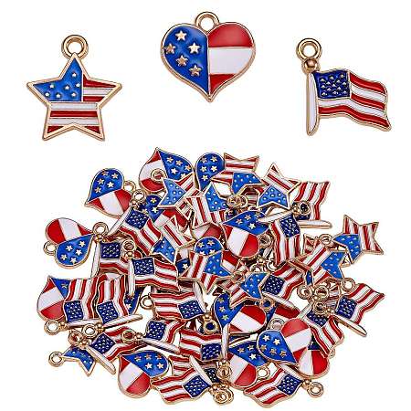 60Pcs Alloy Enamel Pendants JX113A-1