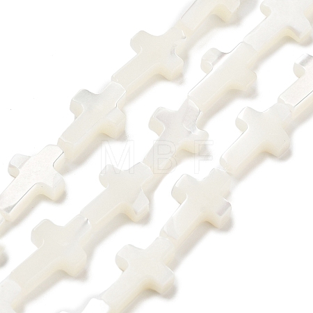 Natural White Shell Beads Strands SSHEL-F0812C-1