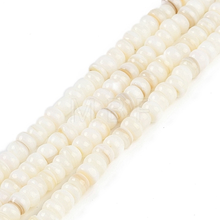 Natural Freshwater Shell  Beads Strands BSHE-H109-07-1
