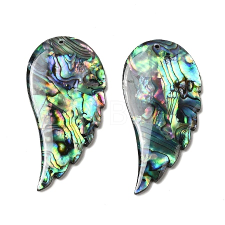 Natural Abalone Shell/Paua Shell Big Pendants X-SHEL-K006-14-1