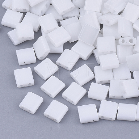 FGB 2-Hole Glass Seed Beads X-SEED-S031-L-041-1