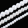 Electroplate Imitation Jade Glass Beads Strands GLAA-T032-J8mm-AB01-4