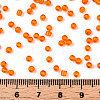8/0 Glass Seed Beads X-SEED-A004-3mm-9B-5