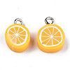 Handmade Polymer Clay Charms CLAY-T016-59A-2