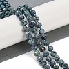 Natural Sesame Jasper Dyed Beads Strands G-H057-A21-01-2