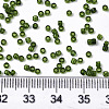 Glass Seed Beads SEED-S042-11B-07-4