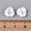 Natural White Shell Beads BSHE-T014-50-4