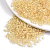 6/0 Glass Seed Beads X1-SEED-A015-4mm-2202-1