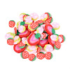 Handmade Polymer Clay Cabochons CLAY-N013-04-2