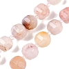 Natural Cherry Blossom Agate Beads Strands G-G182-B41-03-2