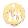 304 Stainless Steel Pendants STAS-F233-18-G-1