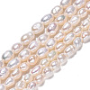 Natural Cultured Freshwater Pearl Beads Strands X1-PEAR-N012-03D-2