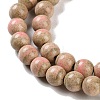 Natural Rainbow Alashan Agate Beads Strands G-NH0022-A03-01-4