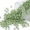 TOHO 8/0 Round Beads SEED-TR08-0560-1