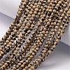 Natural Dalmatian Jasper Bead Strands G-K146-28-3mm-2