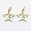 316 Surgical Stainless Steel Pendants STAS-K178-01A-G-1