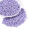 Glass Seed Beads SEED-T007-01I-3