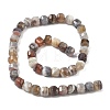 Natural Botswana Agate Beads Strands G-C267-A07-3