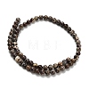 Natural Astroite Jasper Beads Strands G-H329-C02-6mm-3