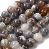 Natural Botswana Agate Beads Strands G-H334-A01-03-2