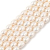 Natural Cultured Freshwater Pearl Beads Strands PEAR-I007-01C-06A-2