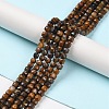 Natural Tiger Eye Beads Strands G-P500-02A-01-2