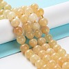 Dyed Natural Malaysia Jade Beads Strands G-G021-02B-11-1
