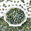 Glass Seed Beads SEED-T009-02E-1