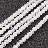 Natural Rainbow Moonstone Bead Strand G-G680-24-1