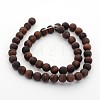 Frosted Natural Tiger Eye Round Bead Strands G-M272-16-4mm-2