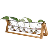 PET Bulb Shape Hydroponic Vase AJEW-WH0709-387A-1
