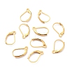 304 Stainless Steel Leverback Earring Findings LS-STAS-K233-04G-2