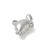 304 Stainless Steel Charms STAS-F320-13P-2