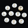 Natural Freshwater Shell Beads SHEL-S278-036Z-1