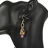 Natural Multicolor Tourmaline  Beads Tassel Dangle Earrings. with 304 Stainless Steel Earring Hooks EJEW-JE07340-2