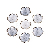 Plastic Bead Caps KY-Q005-04A-13-2
